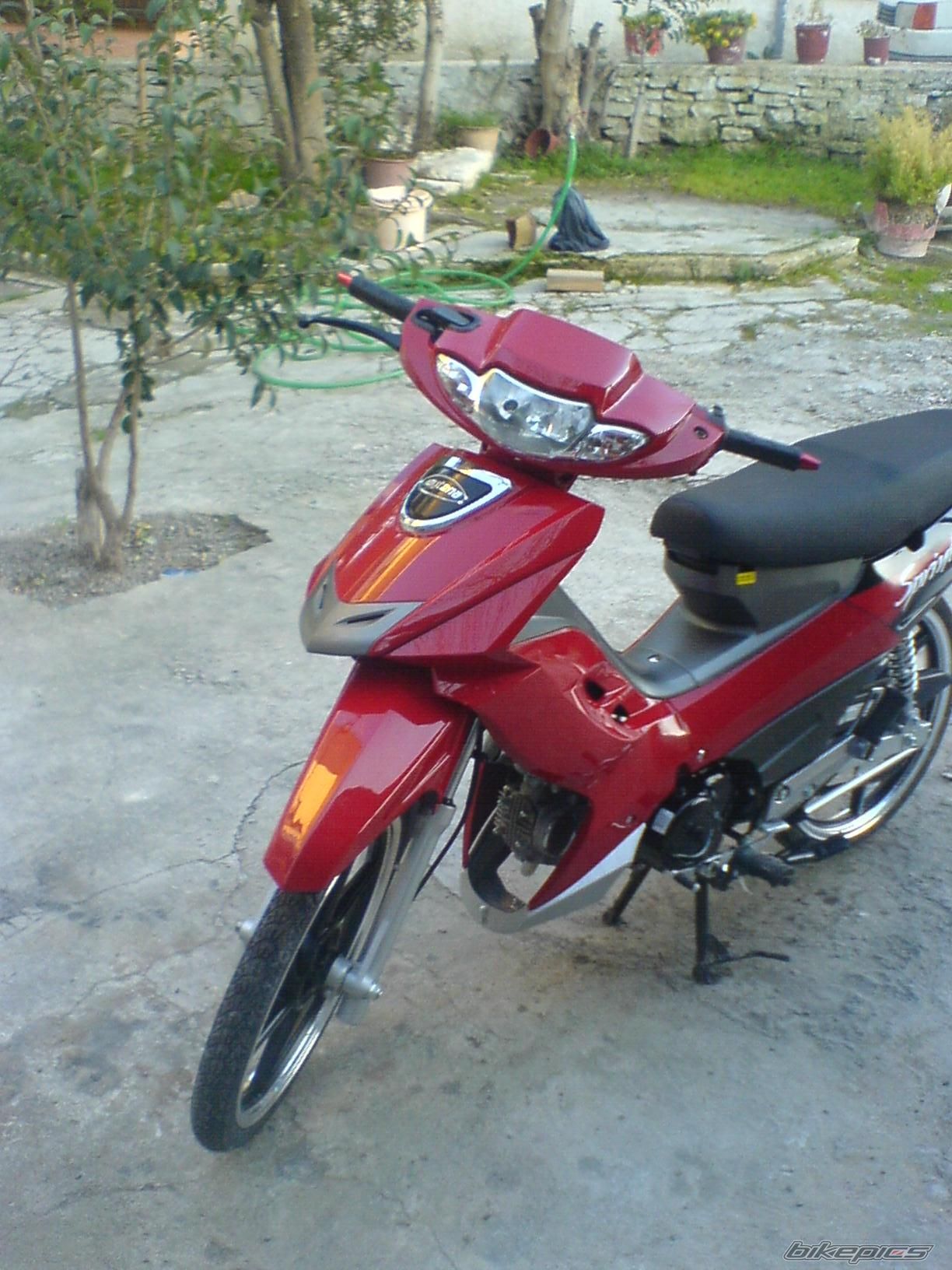 Photo 1204447