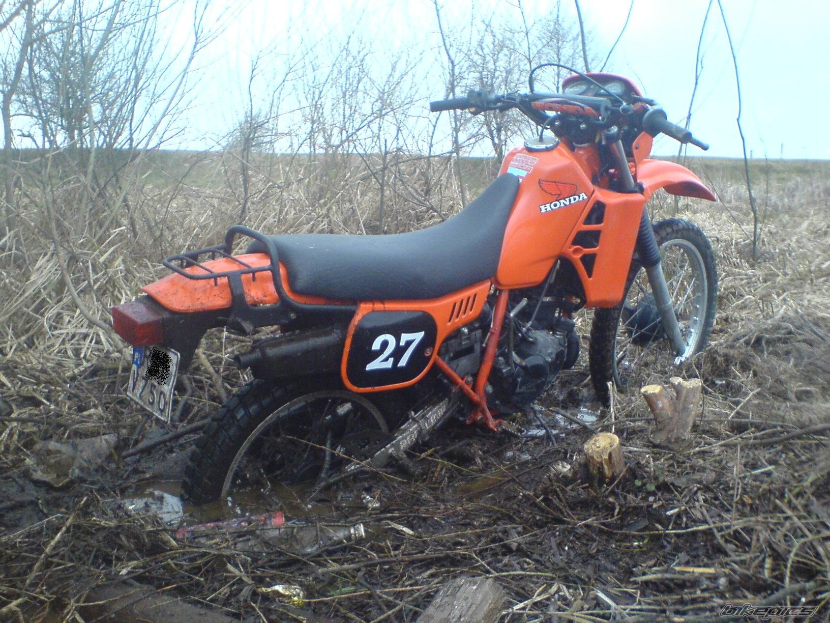 Photo 1204509