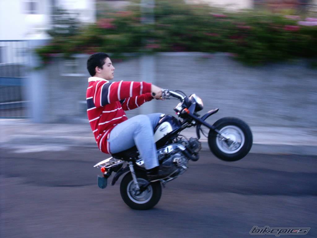 Bike Photo 120453