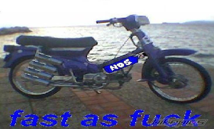 Photo 120464