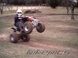 Photo 120468