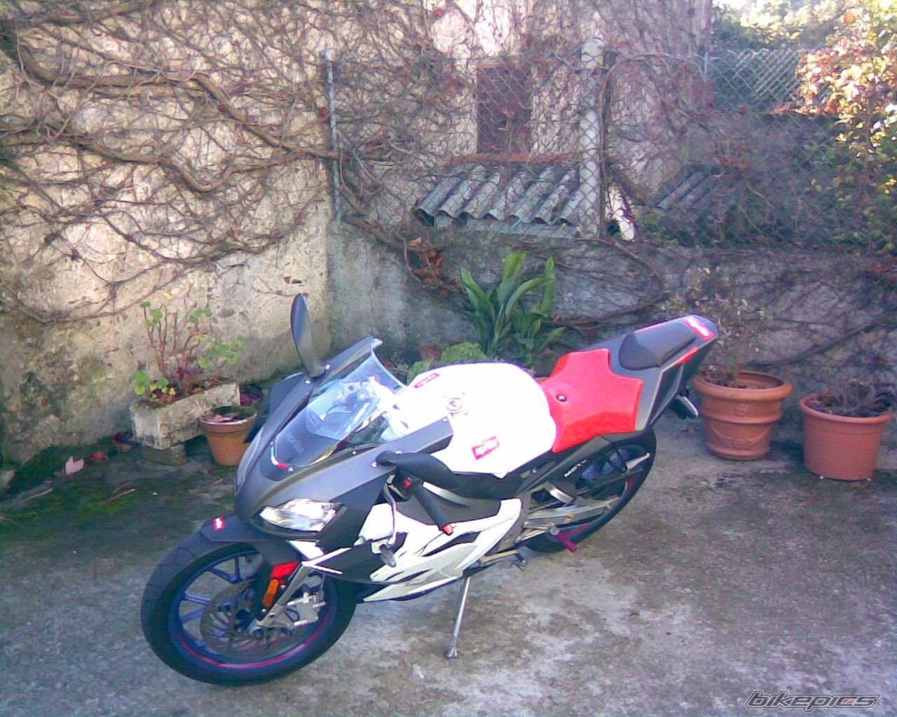 Photo 1204682