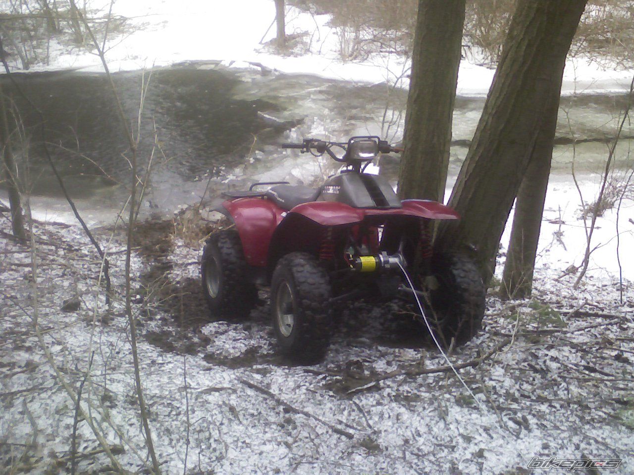 Photo 1204733