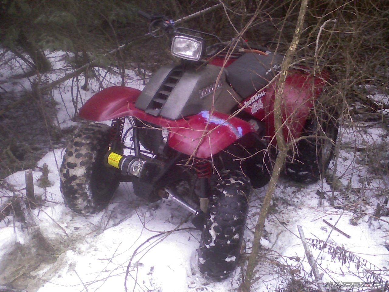 Photo 1204739