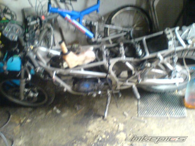 Photo 1204852