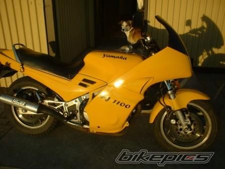 Photo 1205040