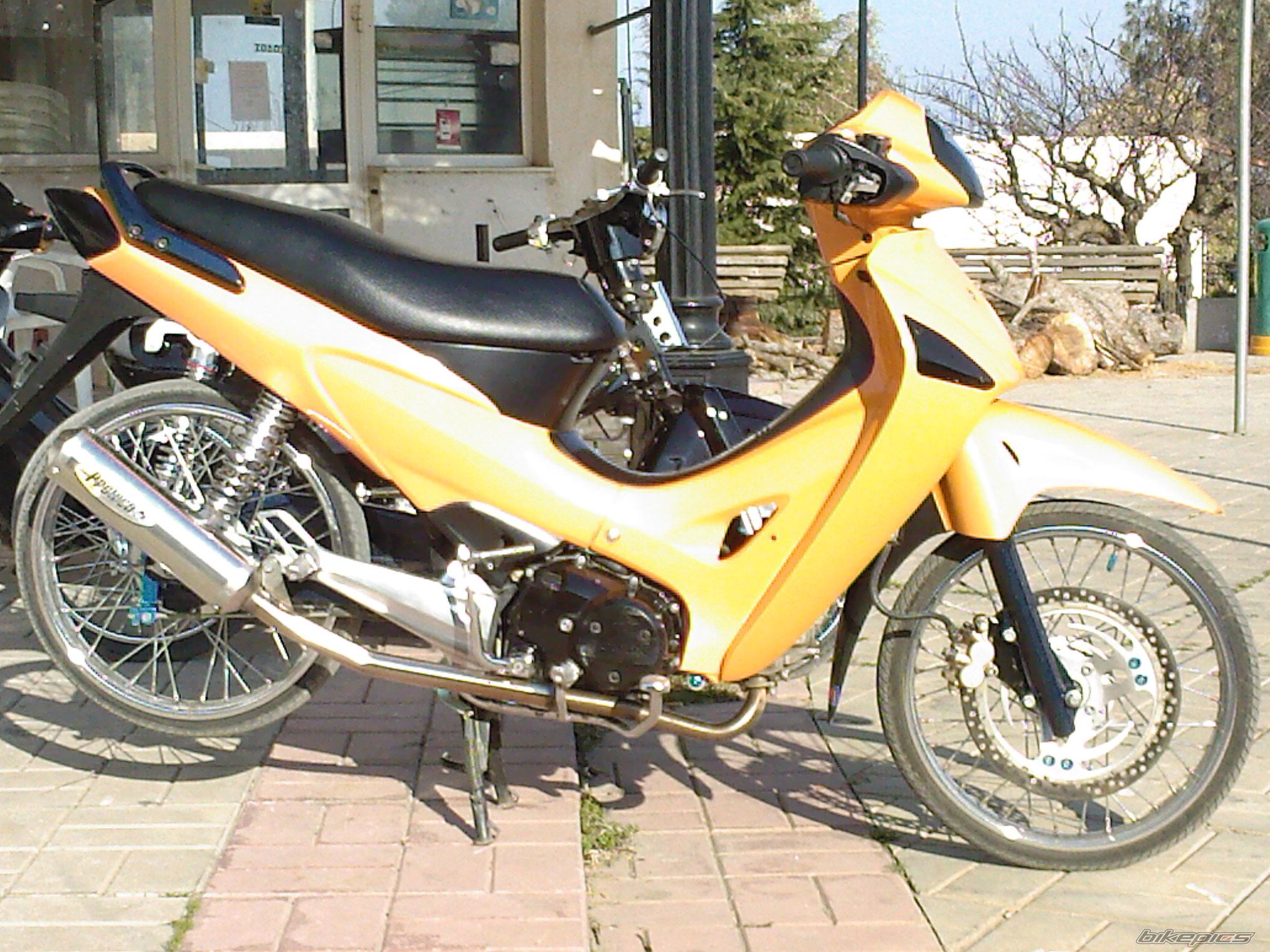 Photo 1205074