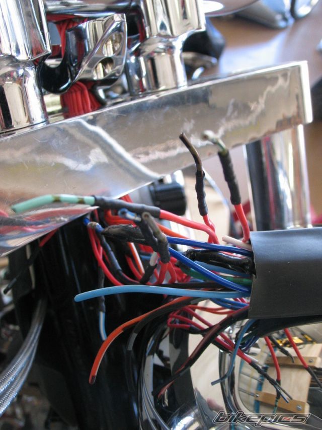 Photo 1205152