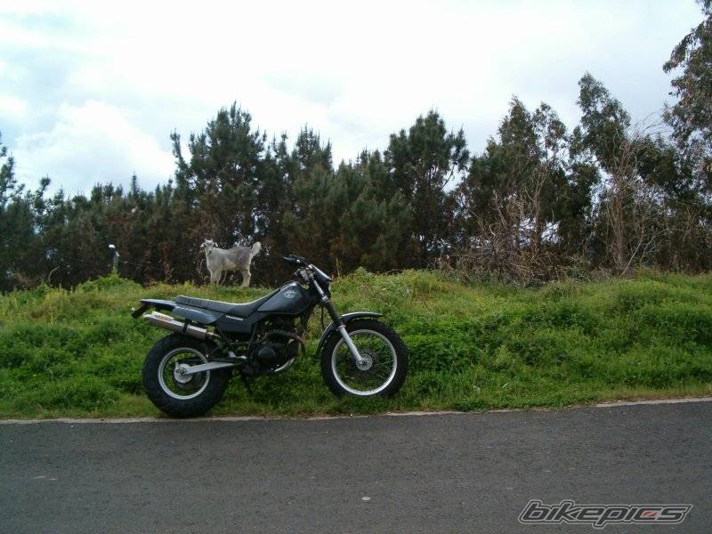 Photo 120539
