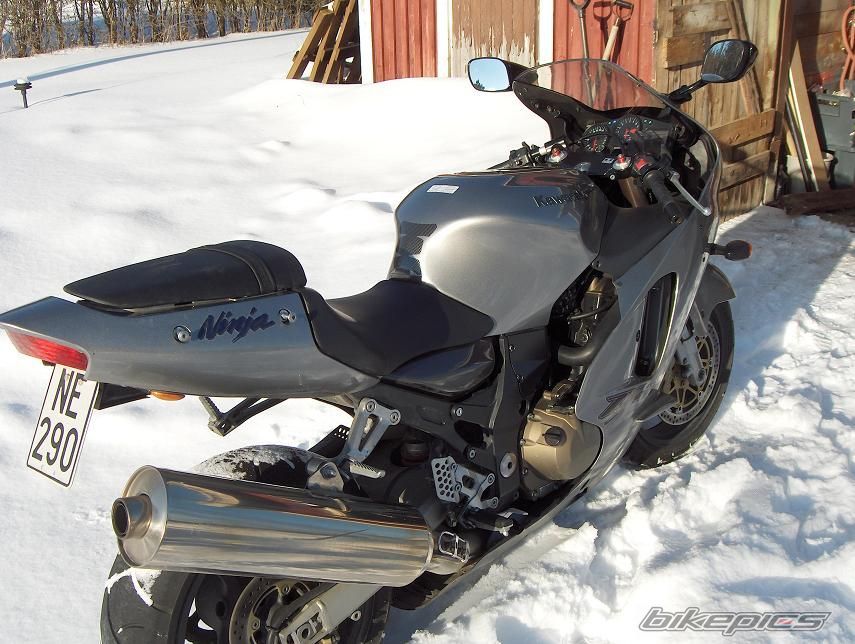 Photo 1205467