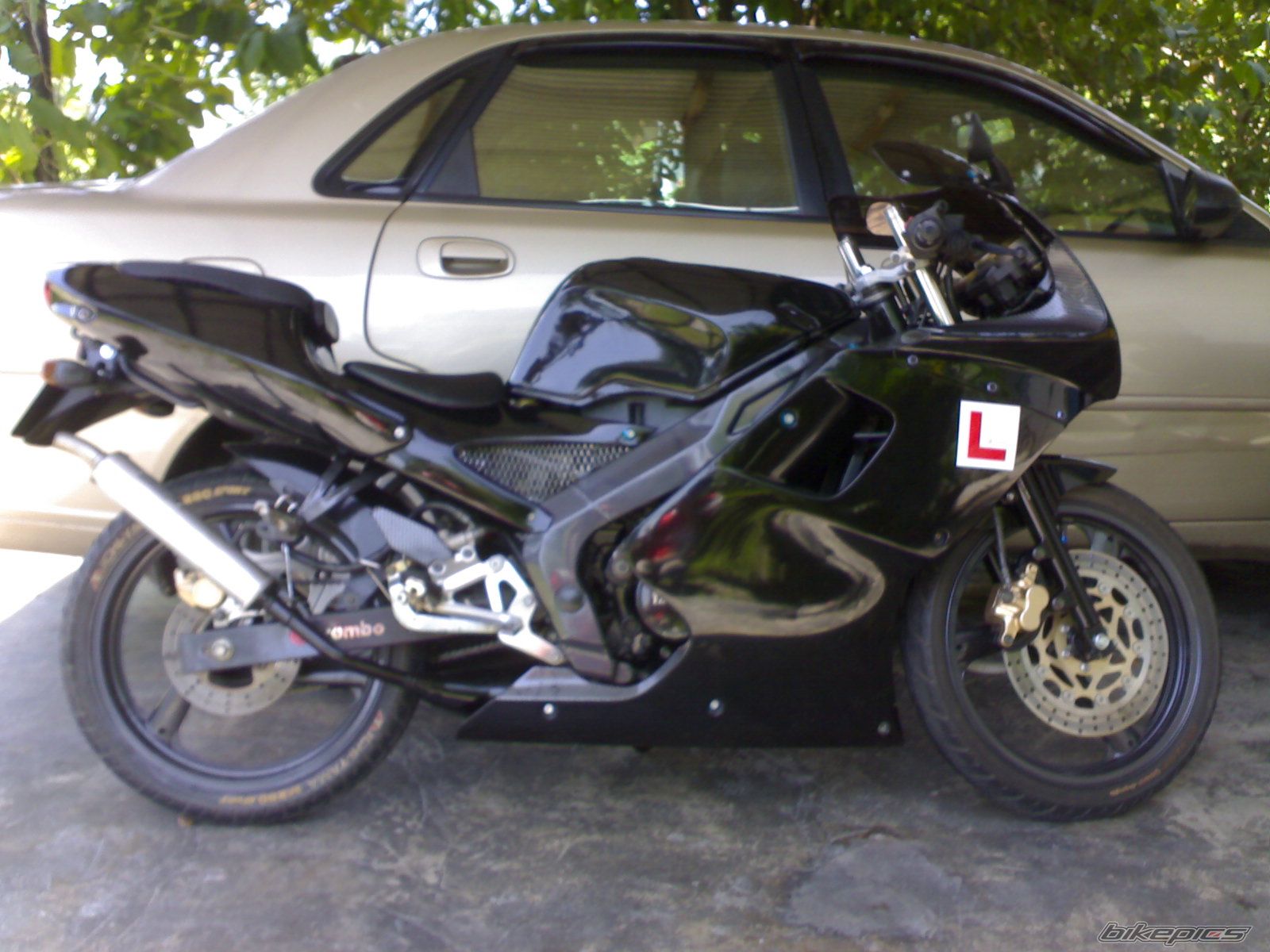Photo 1205494