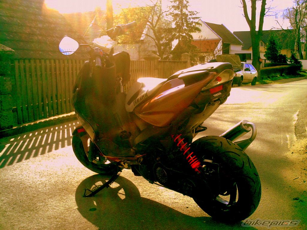Photo 1205520