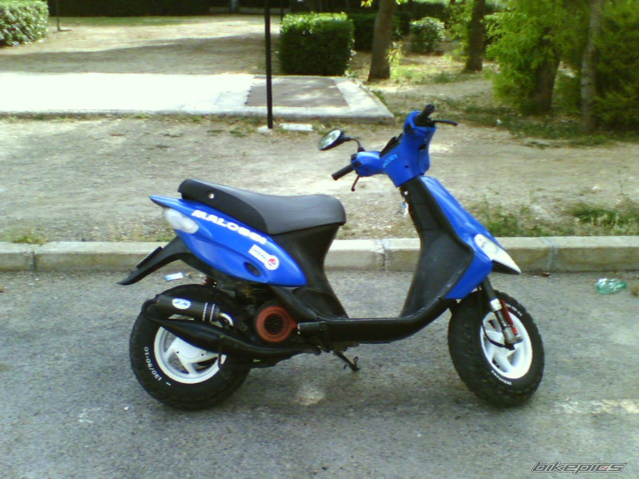 Photo 1205532