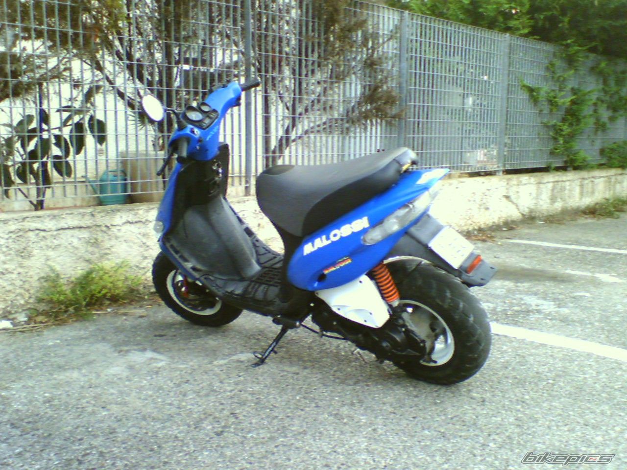 Photo 1205533