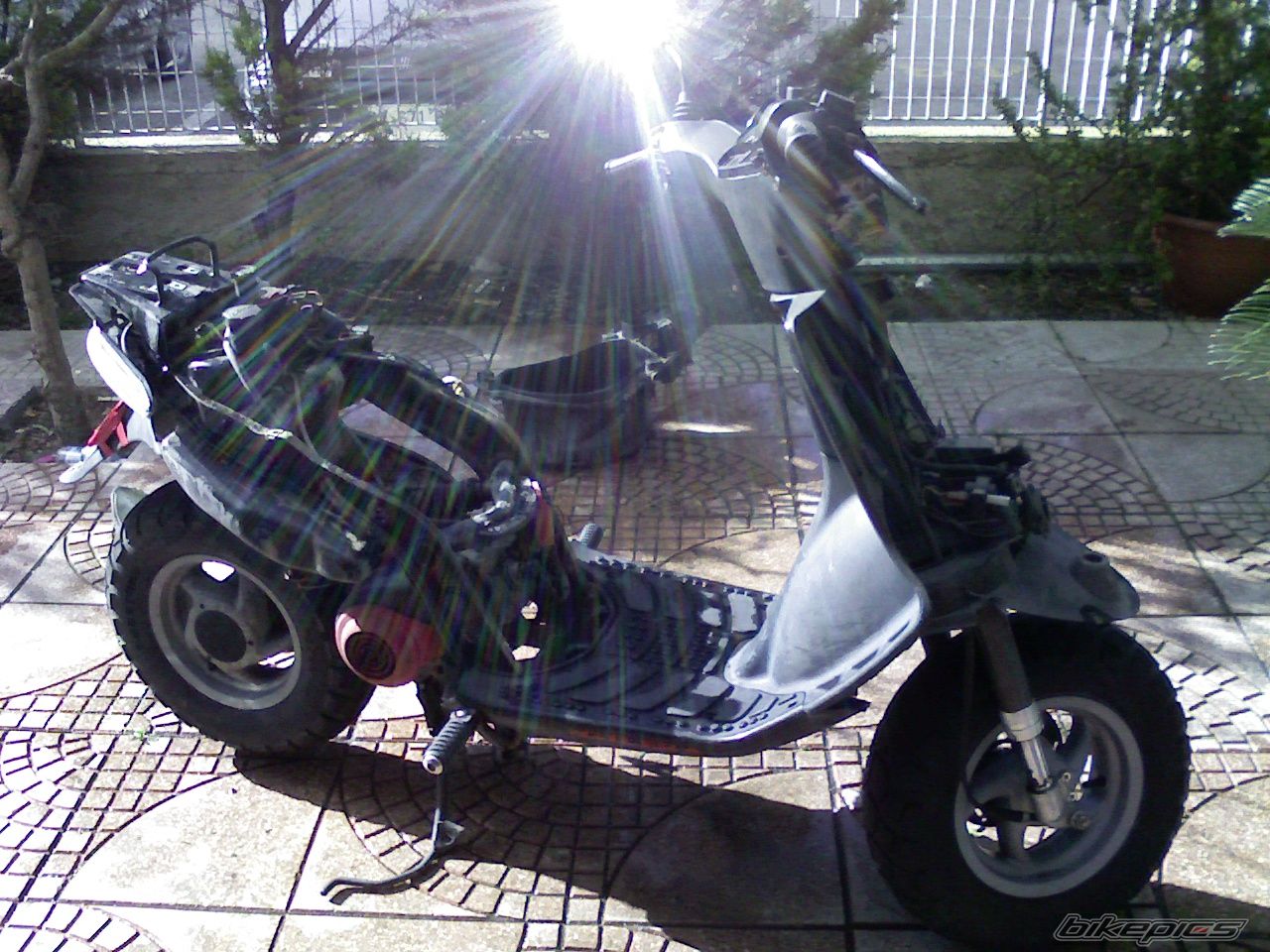 Photo 1205536