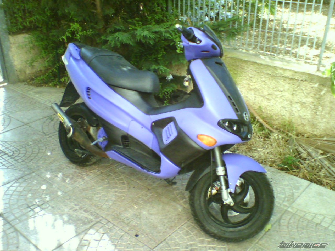 Photo 1205541
