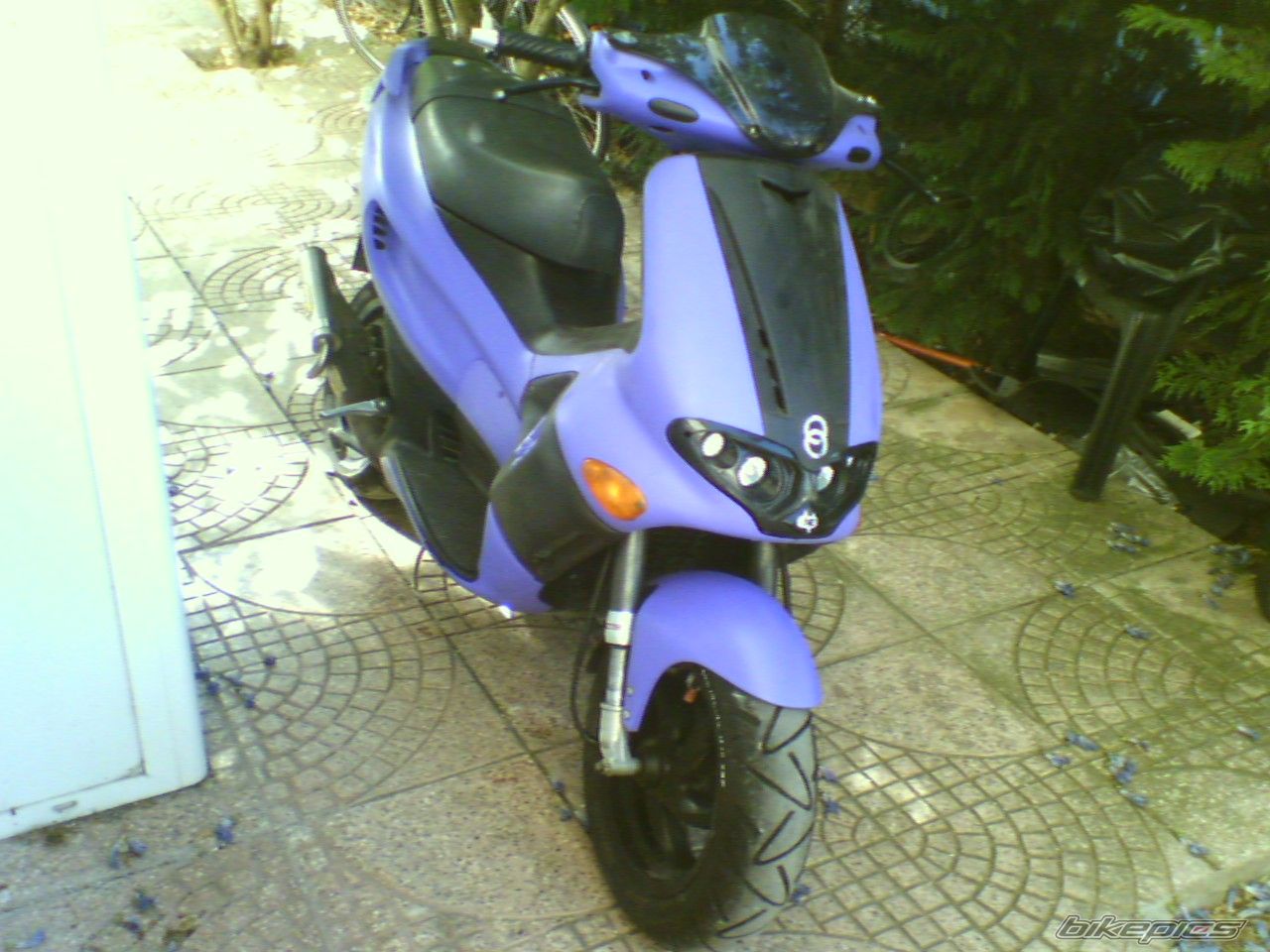 Photo 1205542