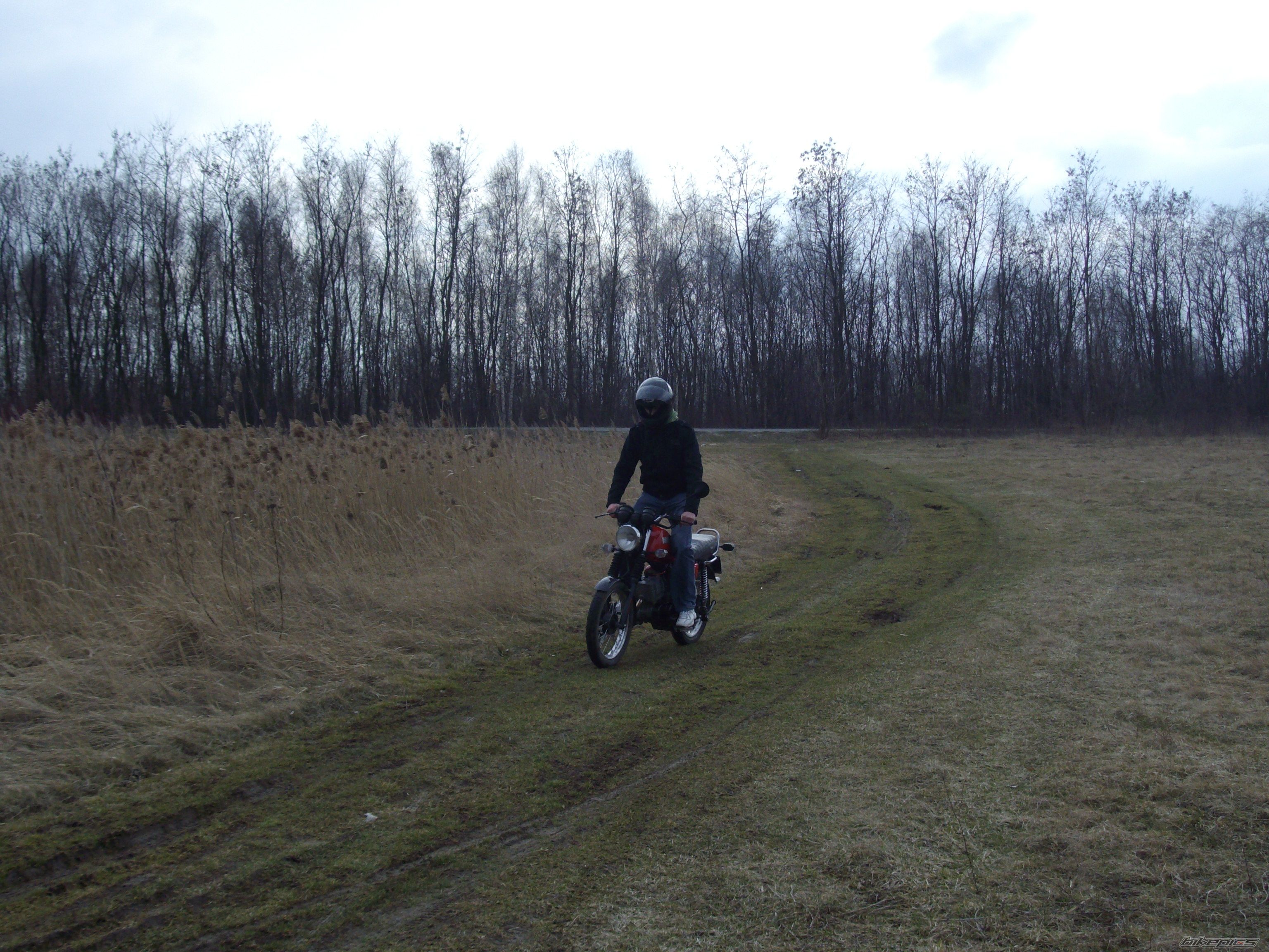 Photo 1205605
