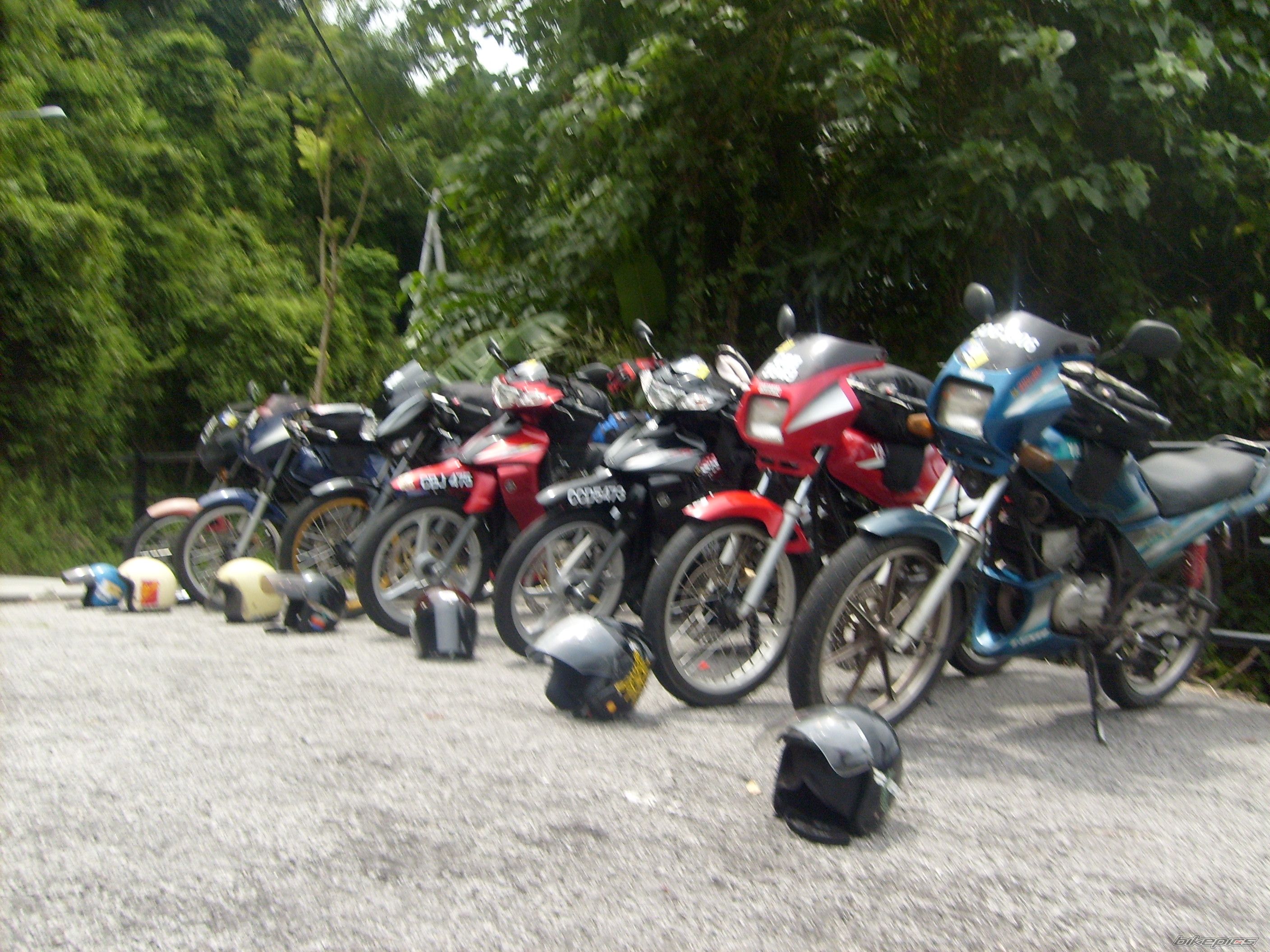 Photo 1205766