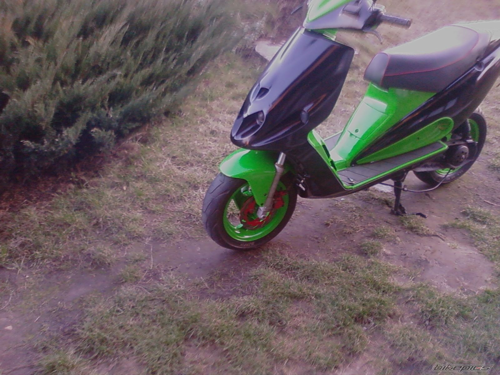 Photo 1205820