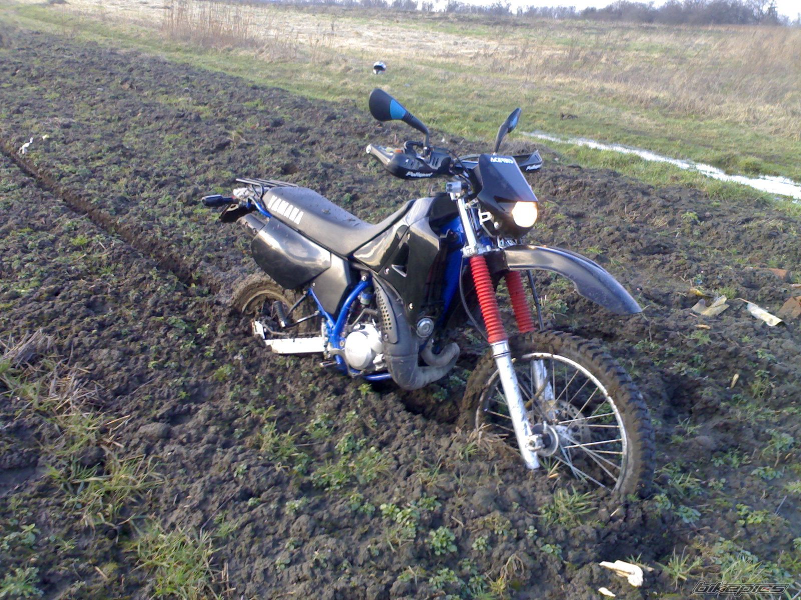 Photo 1205826