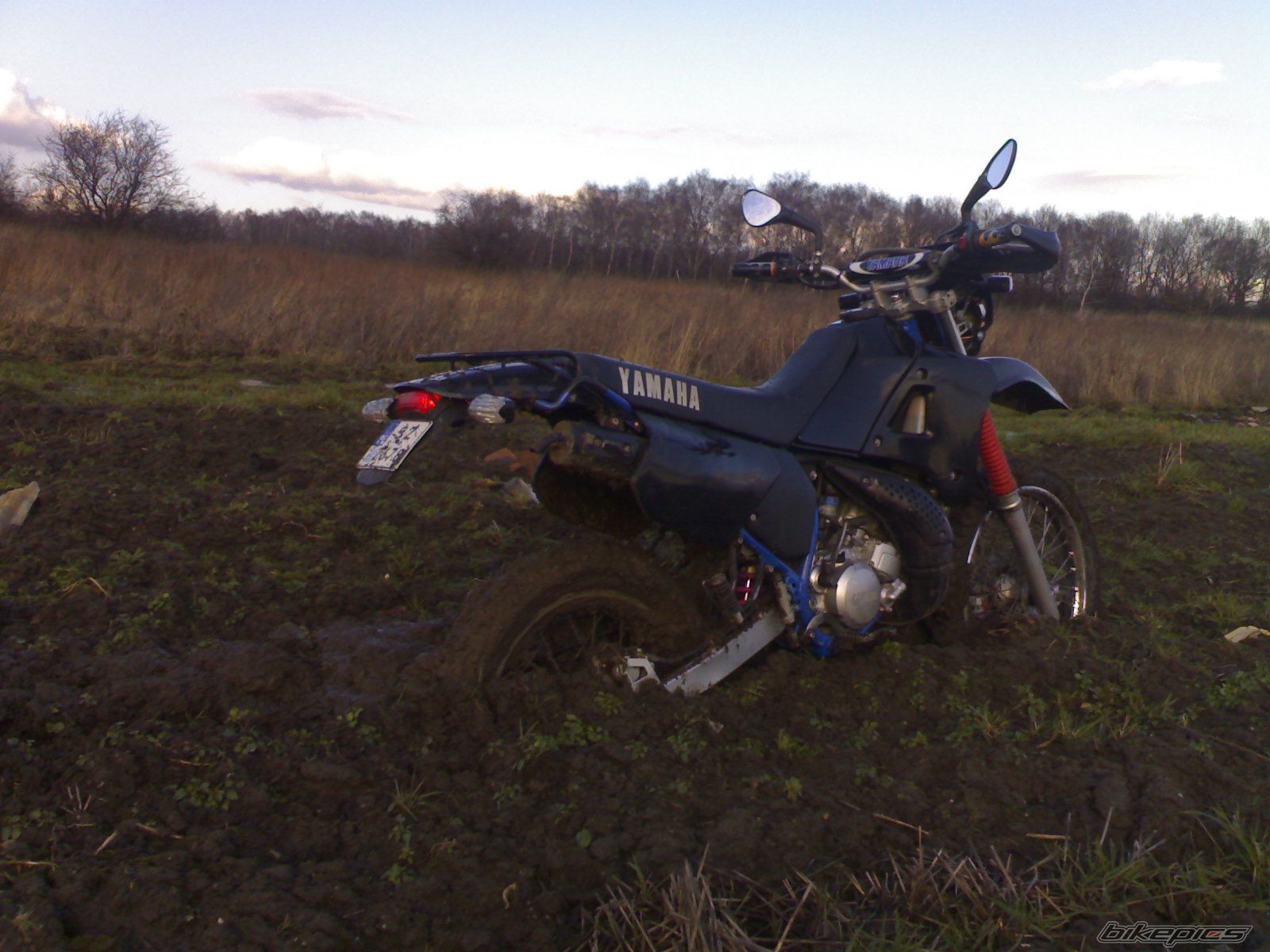 Photo 1205828