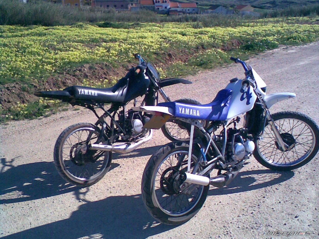 Photo 1205905