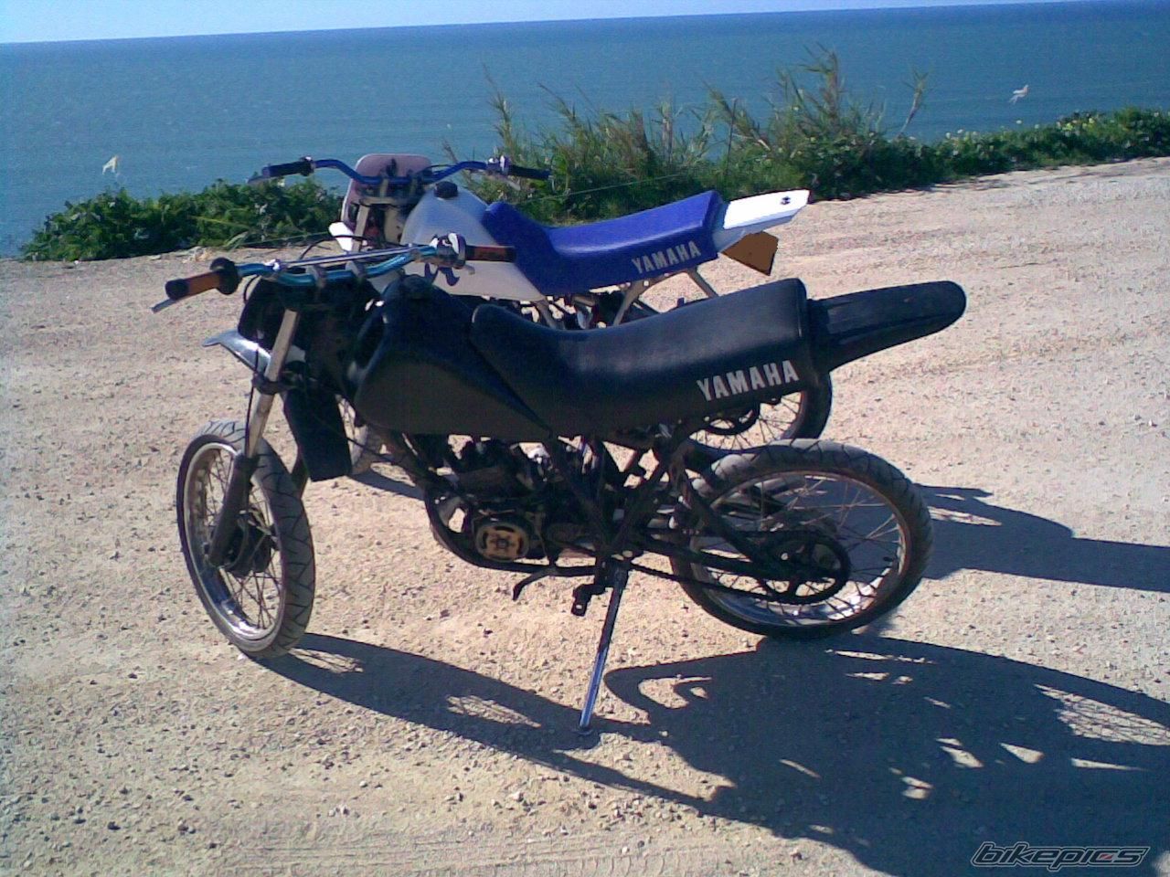 Photo 1205907