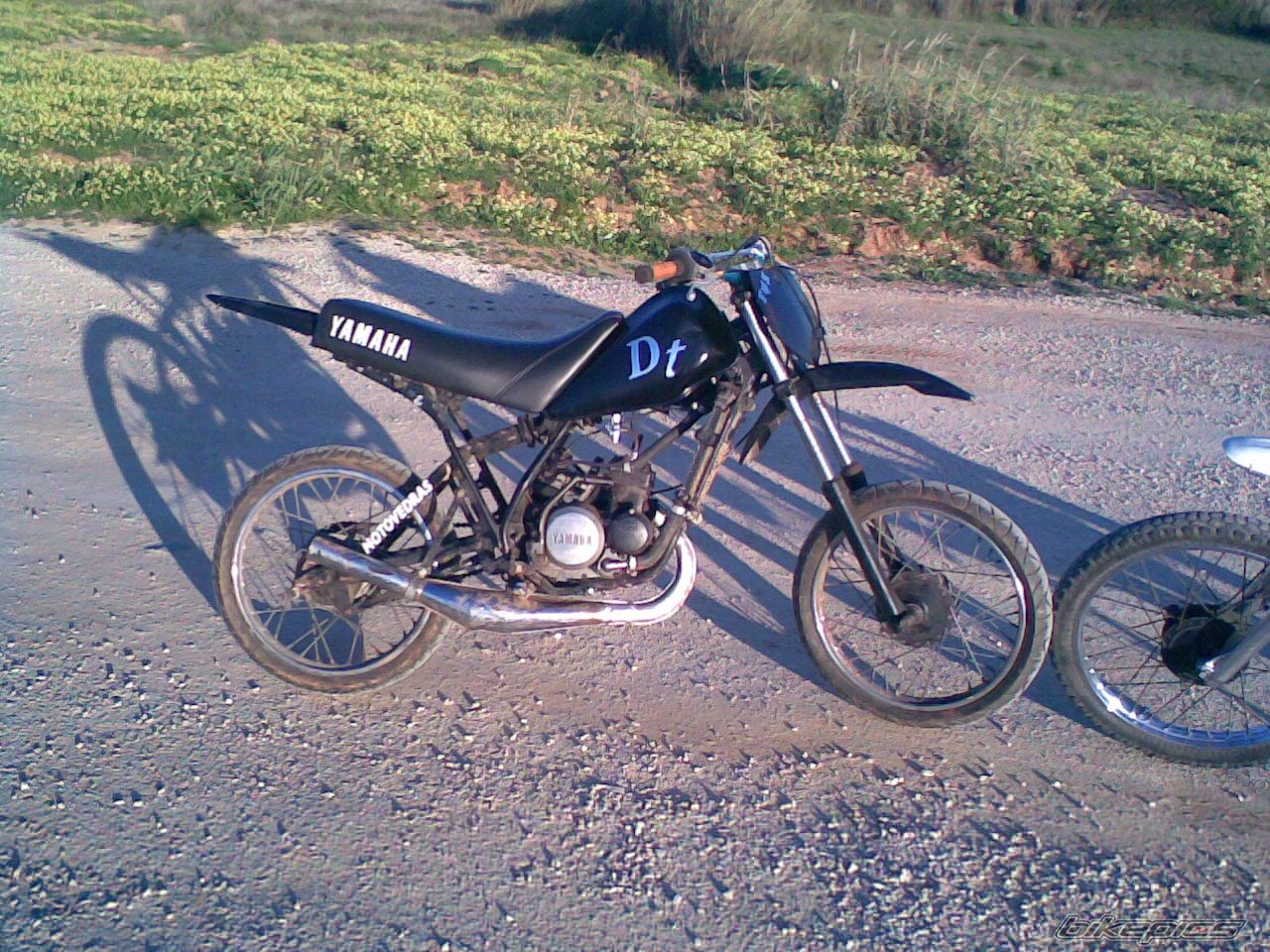 Photo 1205920
