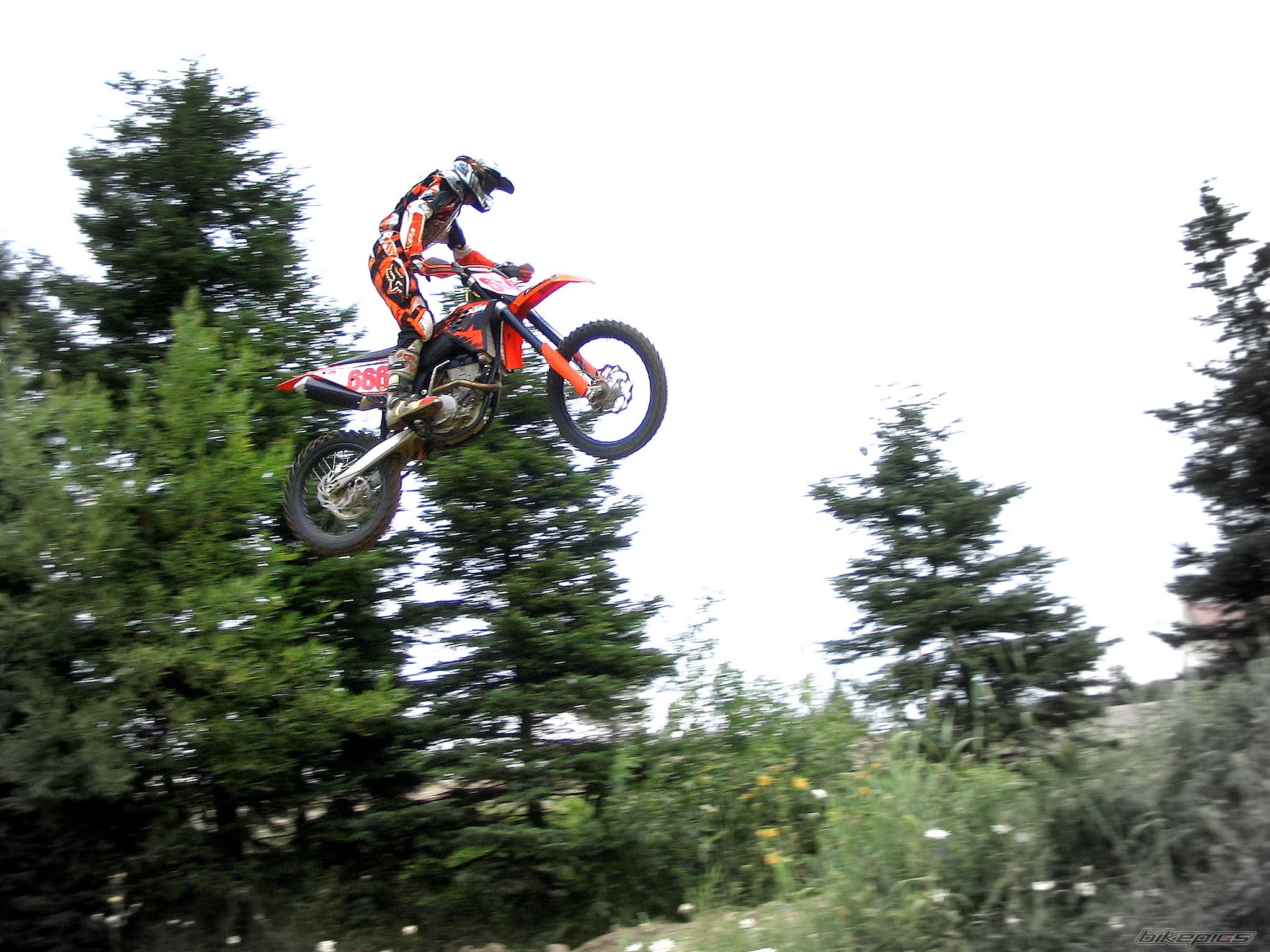 Photo 1205985