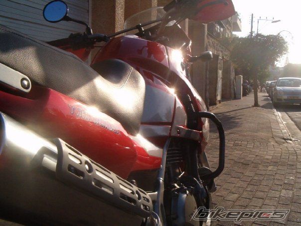 Photo 1206003