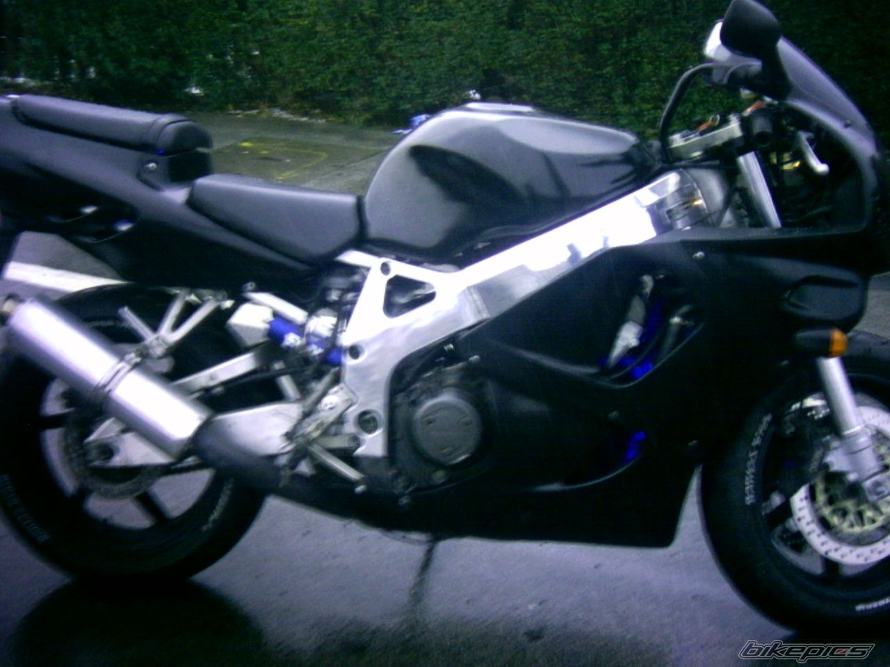 Photo 1206009