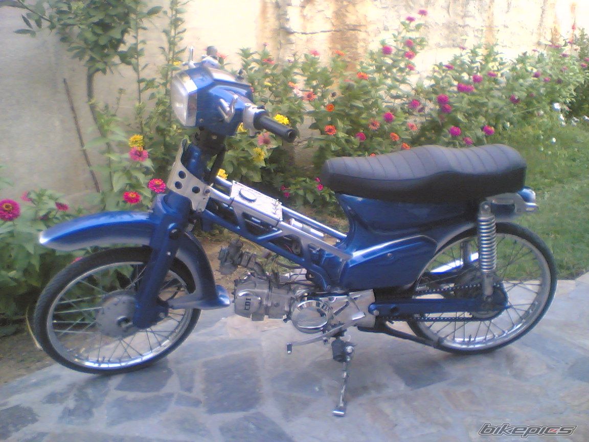 Photo 1206041
