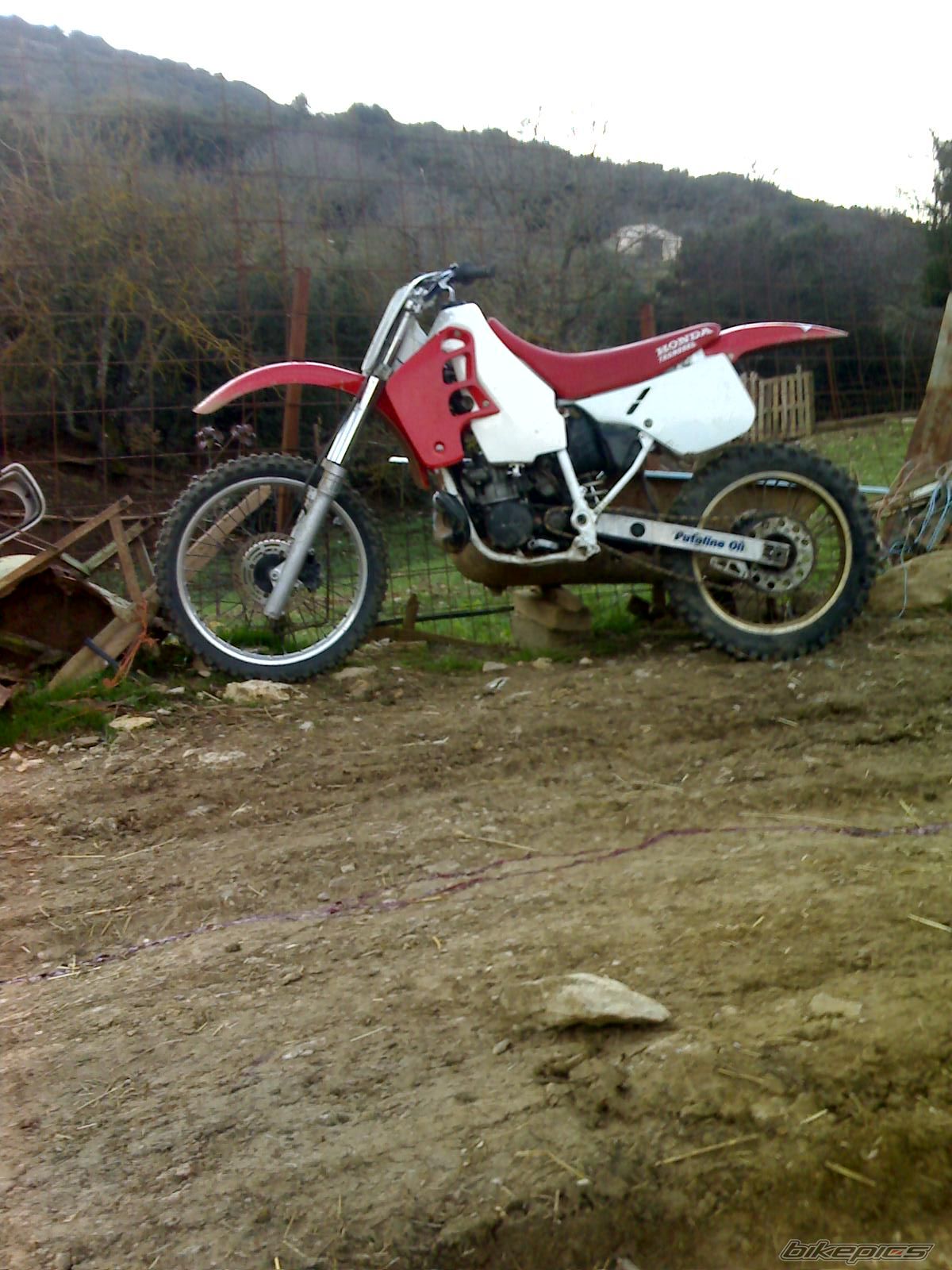 Photo 1206048