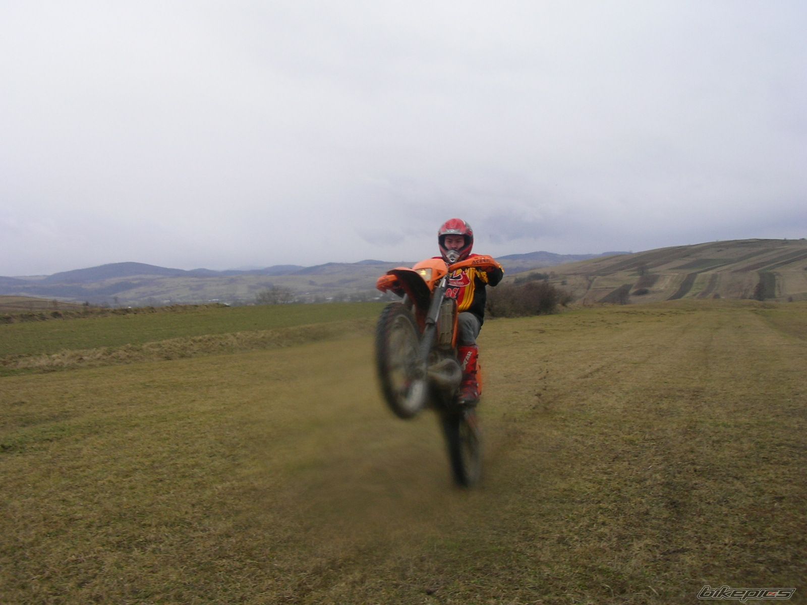 Photo 1206085