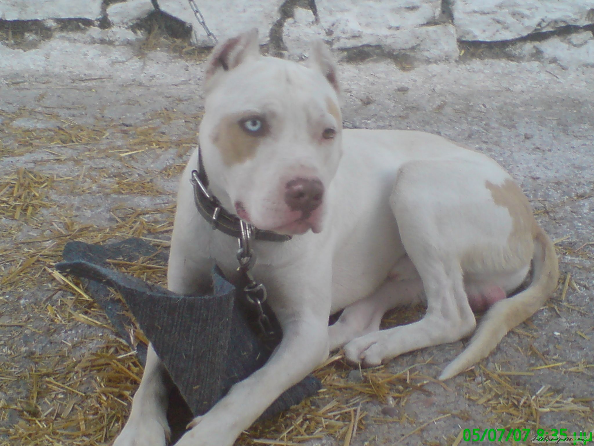 Photo 1206097