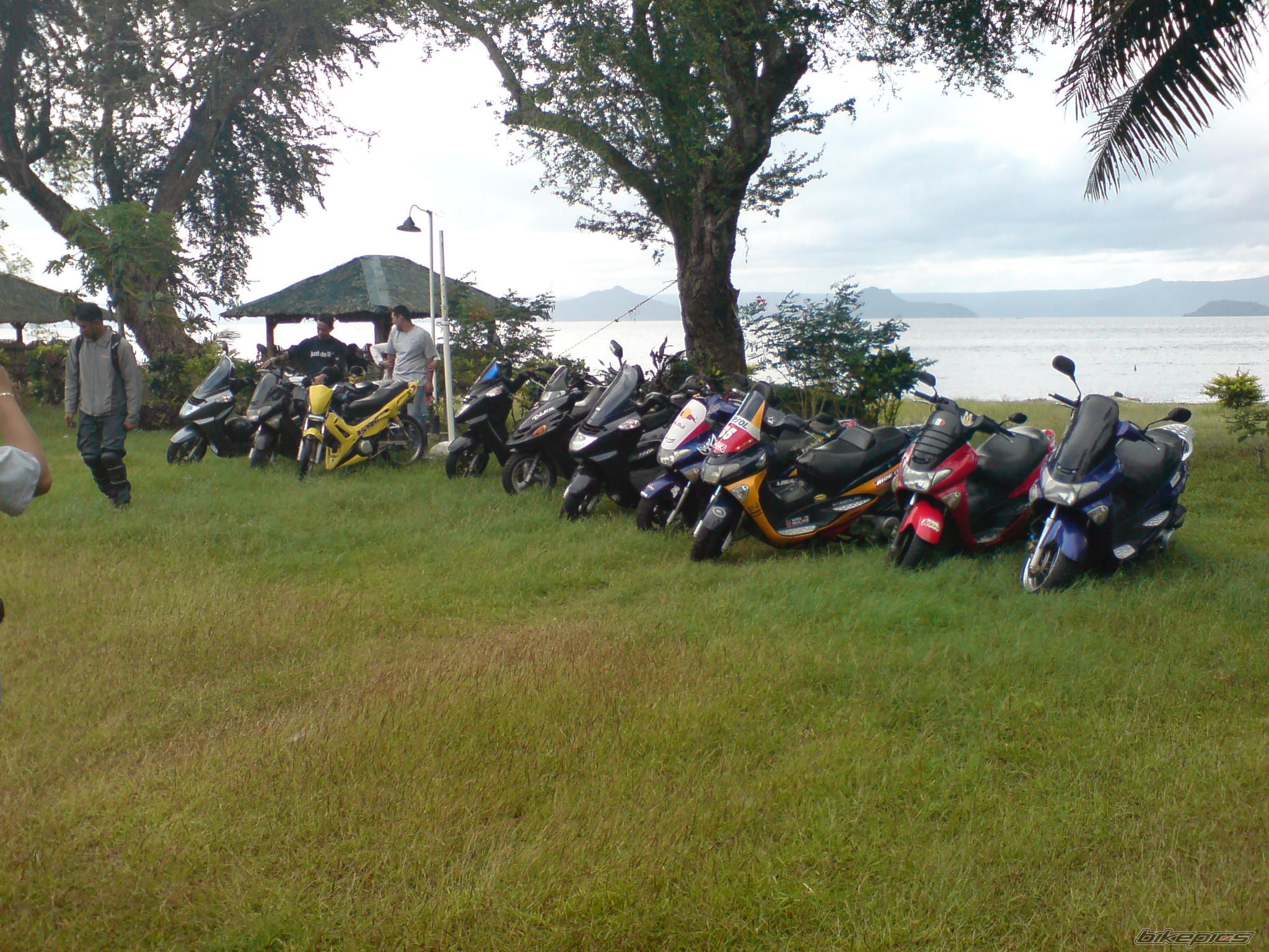 Photo 1206232