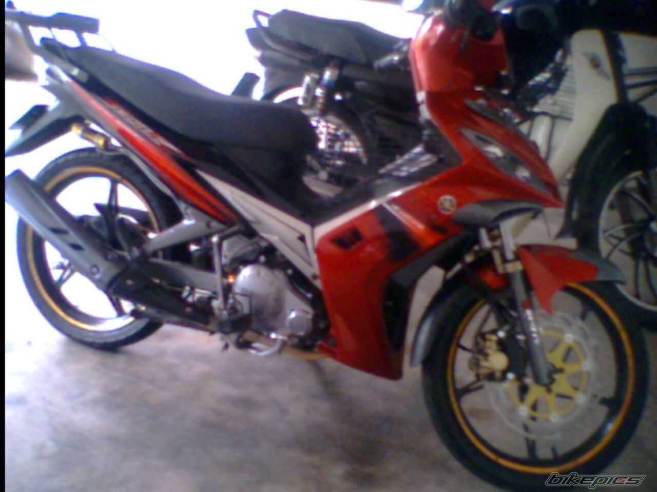 Photo 1206334