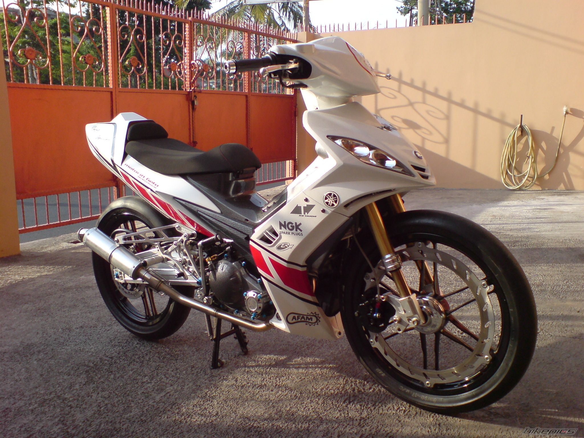 Photo 1206363