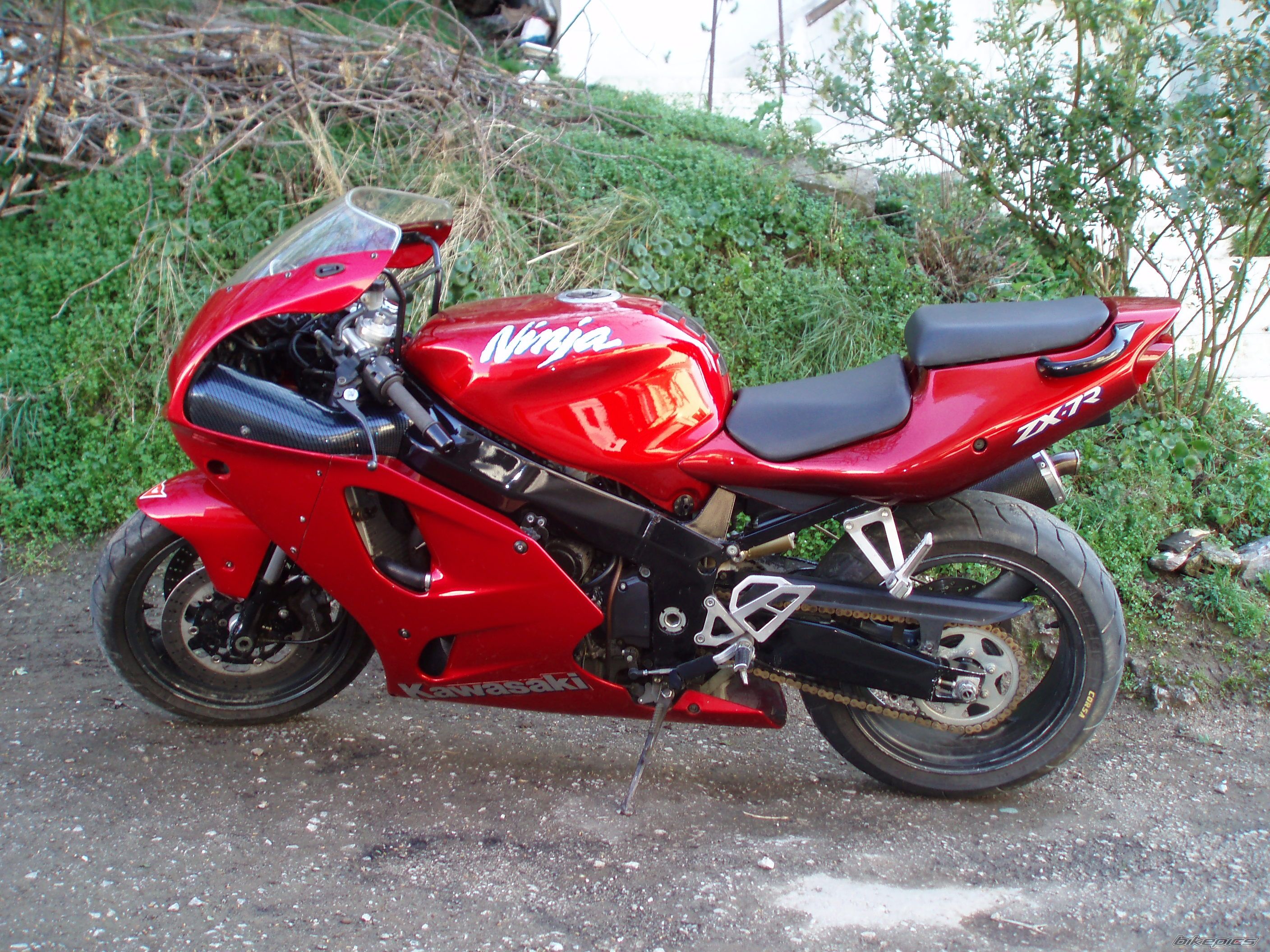 Photo 1206409