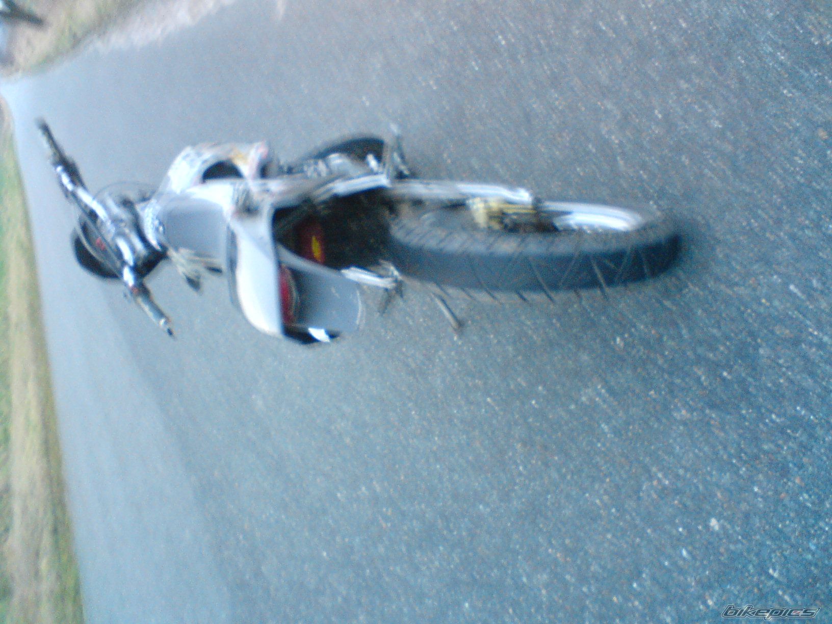 Photo 1206470