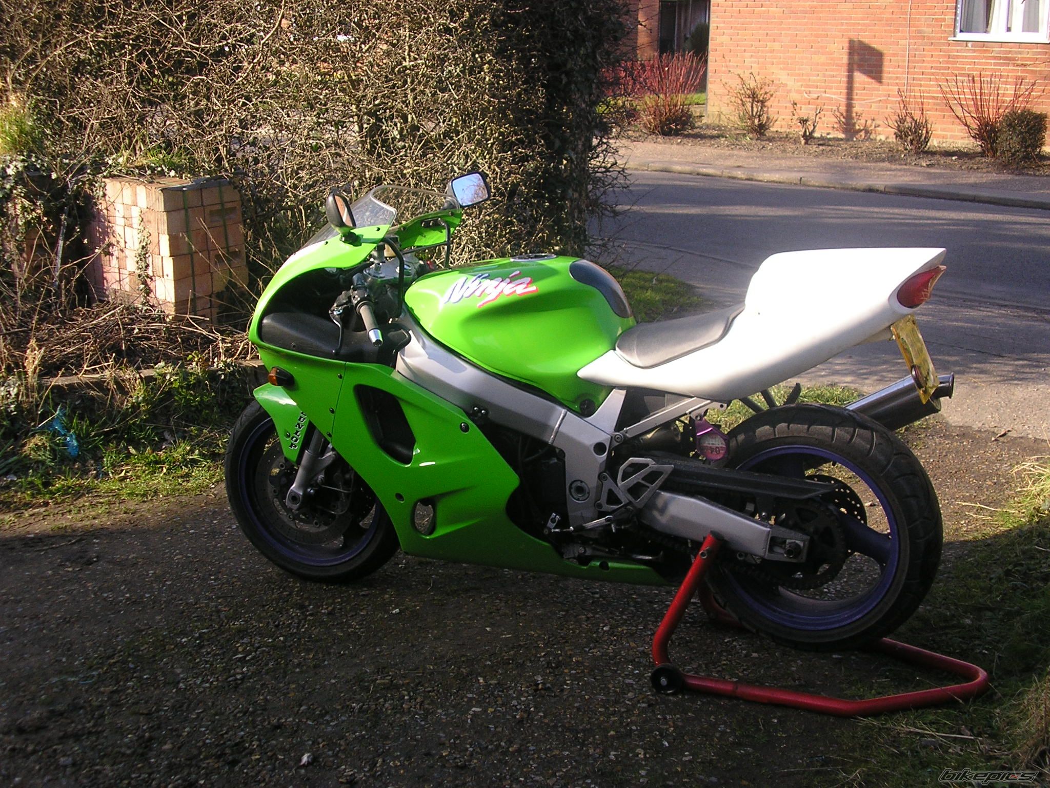 Photo 1206483