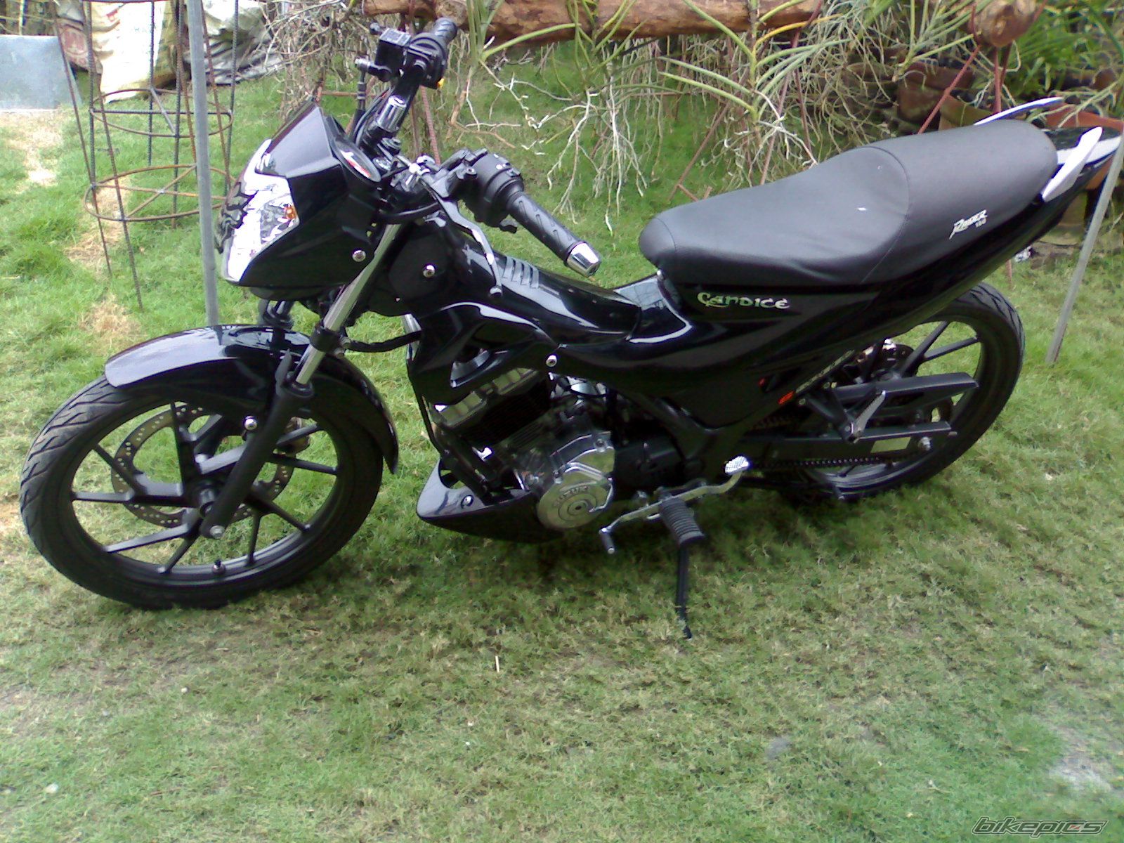 Bike Photo 1206546