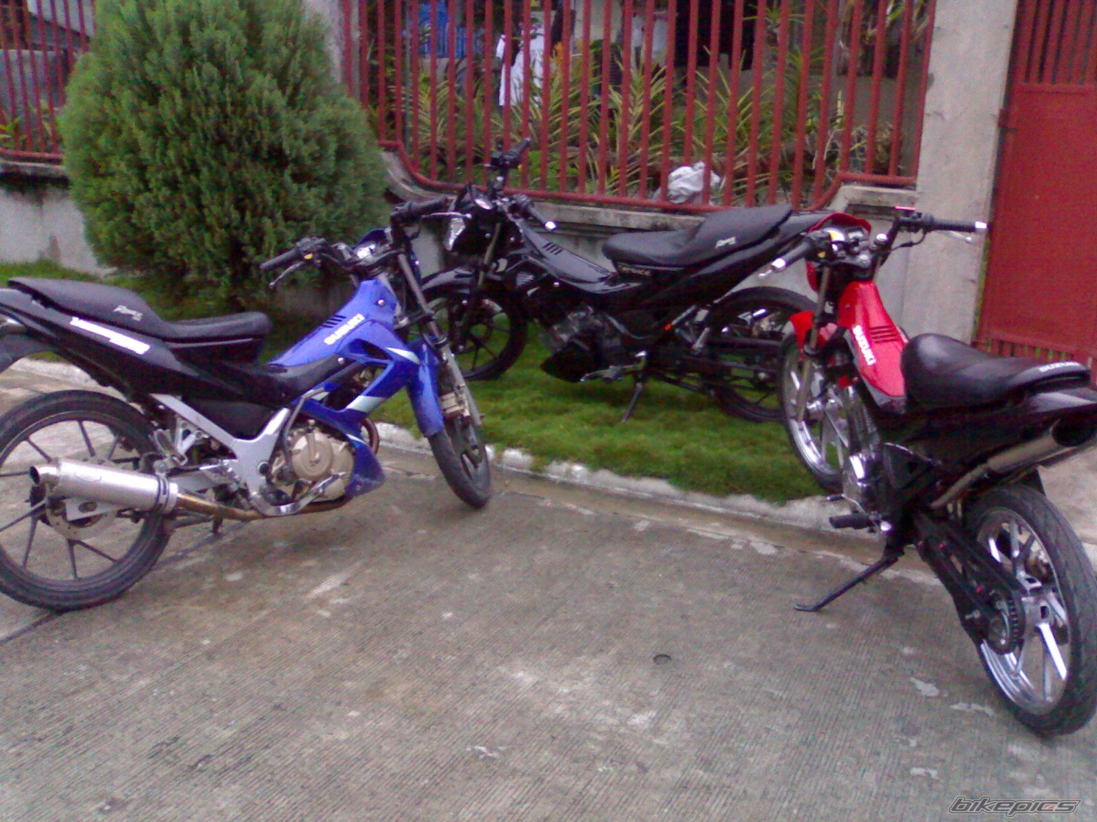 Photo 1206552