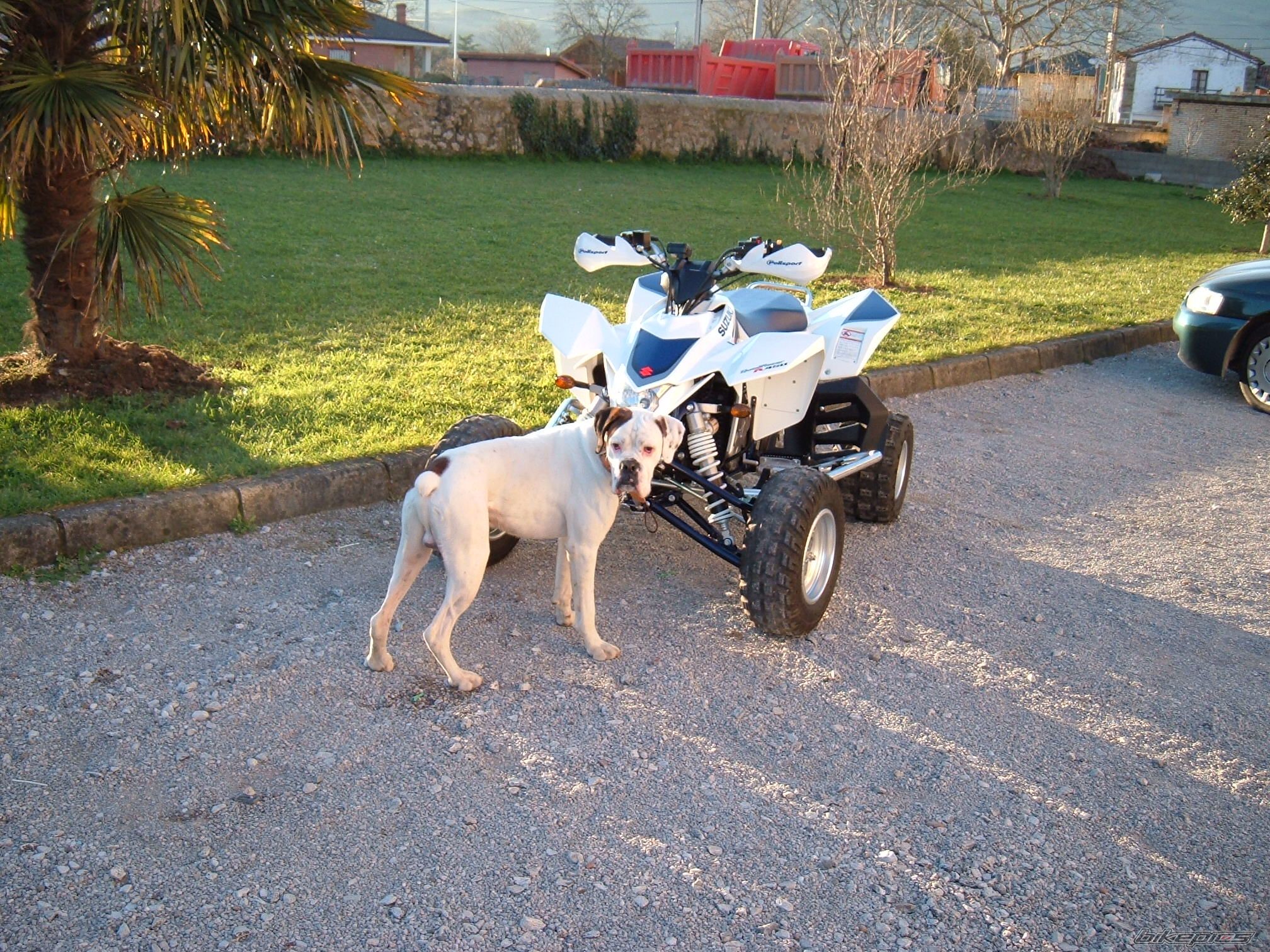 Photo 1206736