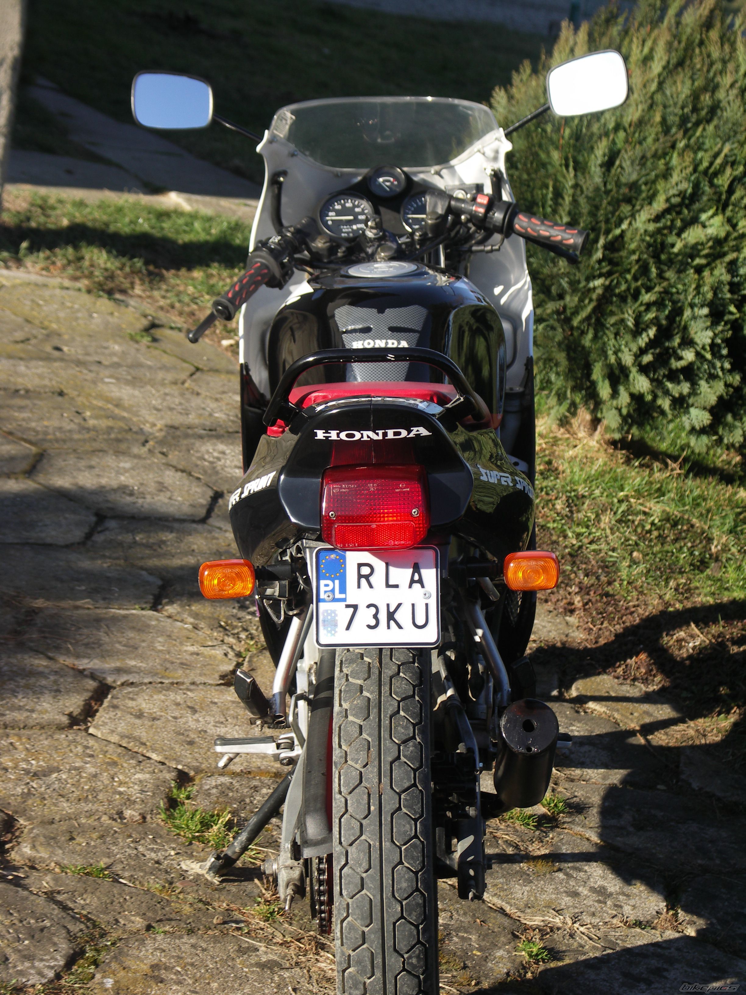 Photo 1206913