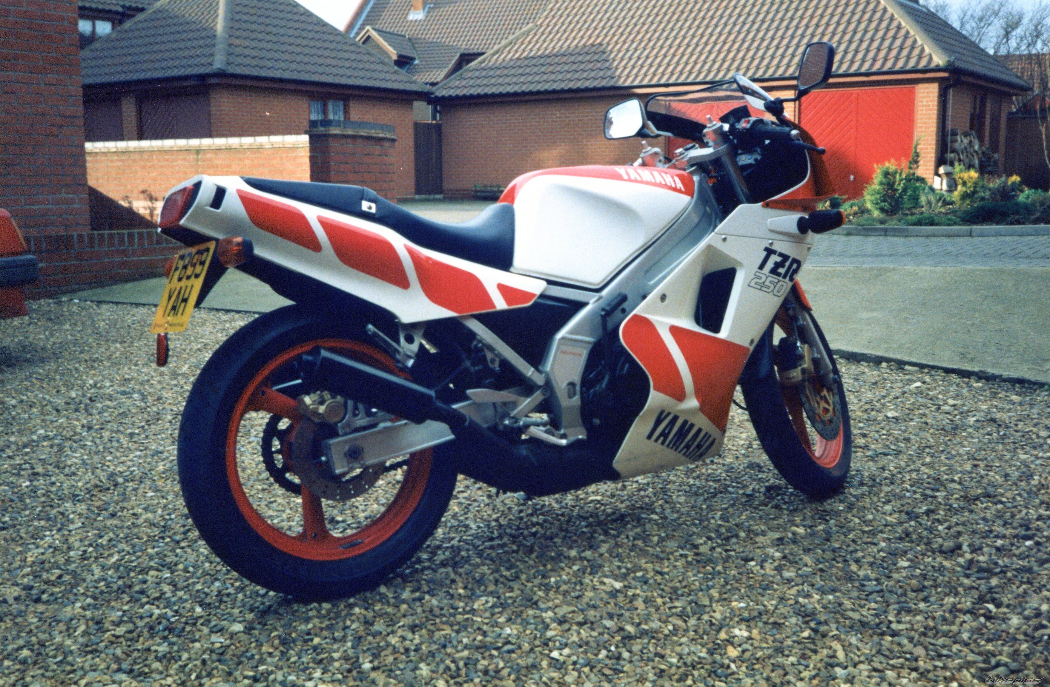 Photo 1206978