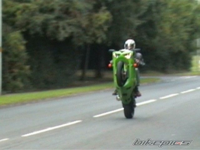 Photo 1206982