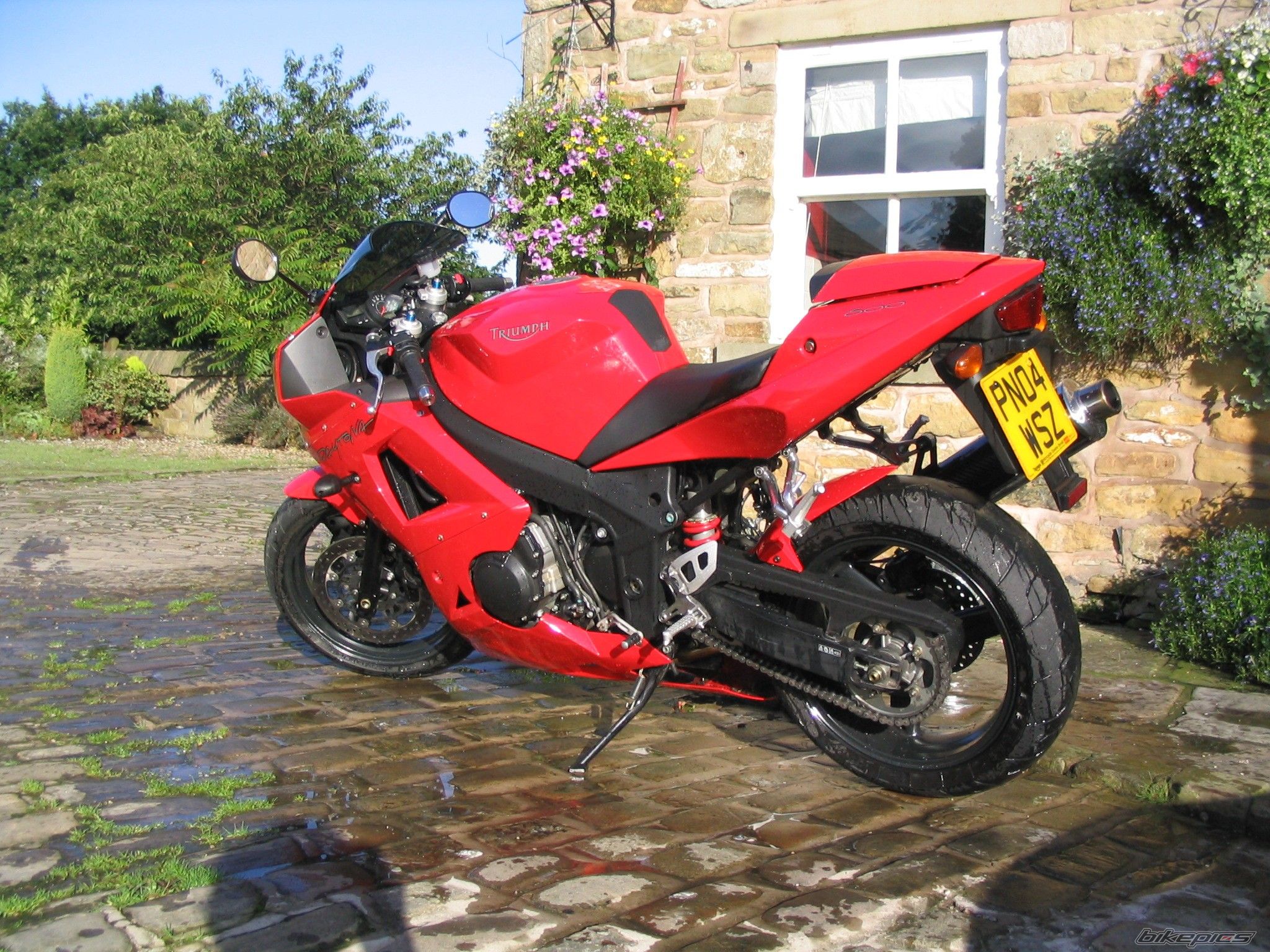 Photo 1206999