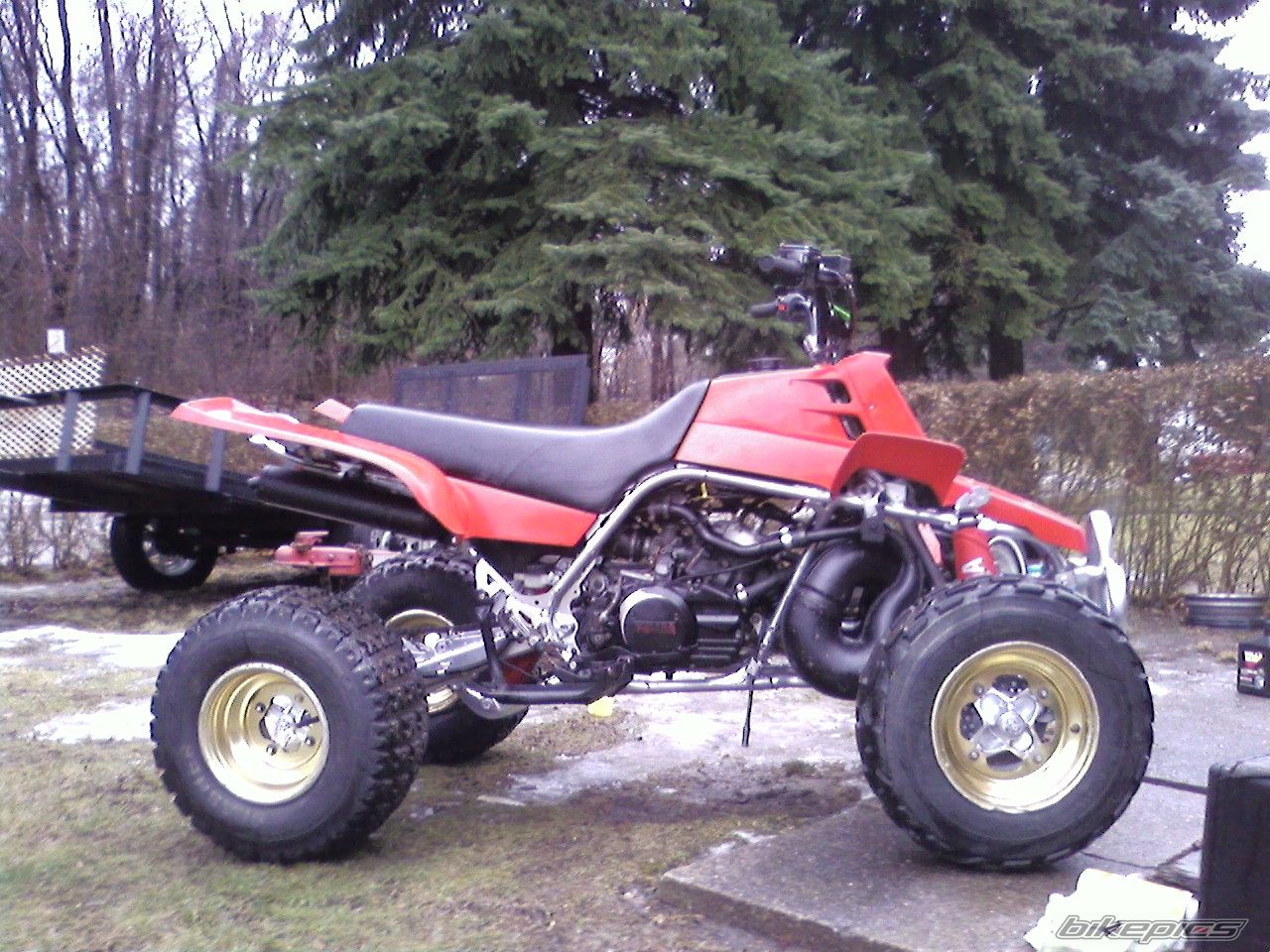 Photo 1207254